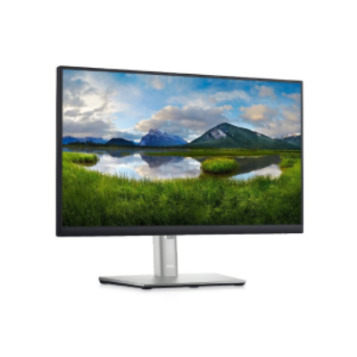 مانیتور 22 اینچ دل فریملس Dell P2222H